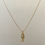 ⁦Seahorse⁩ - الصورة ⁦2⁩