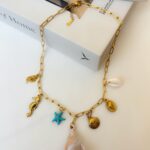 Starry Shell