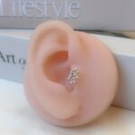 Cartilage Flat Back